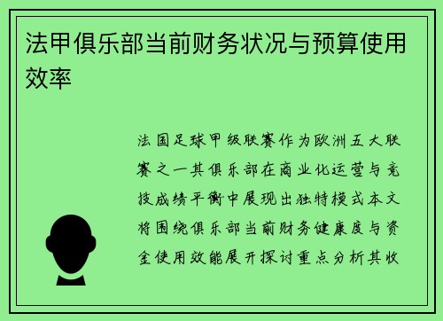法甲俱乐部当前财务状况与预算使用效率