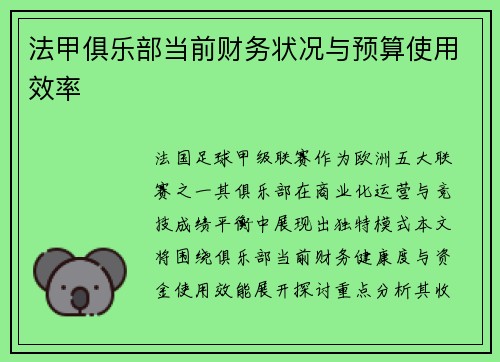法甲俱乐部当前财务状况与预算使用效率